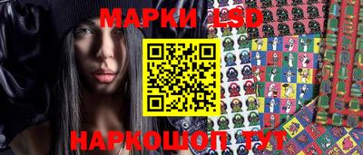 спиды Новозыбков