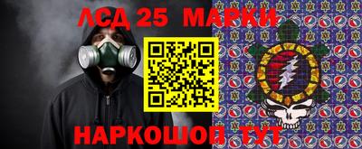 спиды Новозыбков