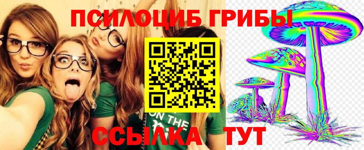 Псилоцибиновые грибы GOLDEN TEACHER  Вход с VPN  Псилоцибиновые грибы Cubensis  Соль-Илецк 